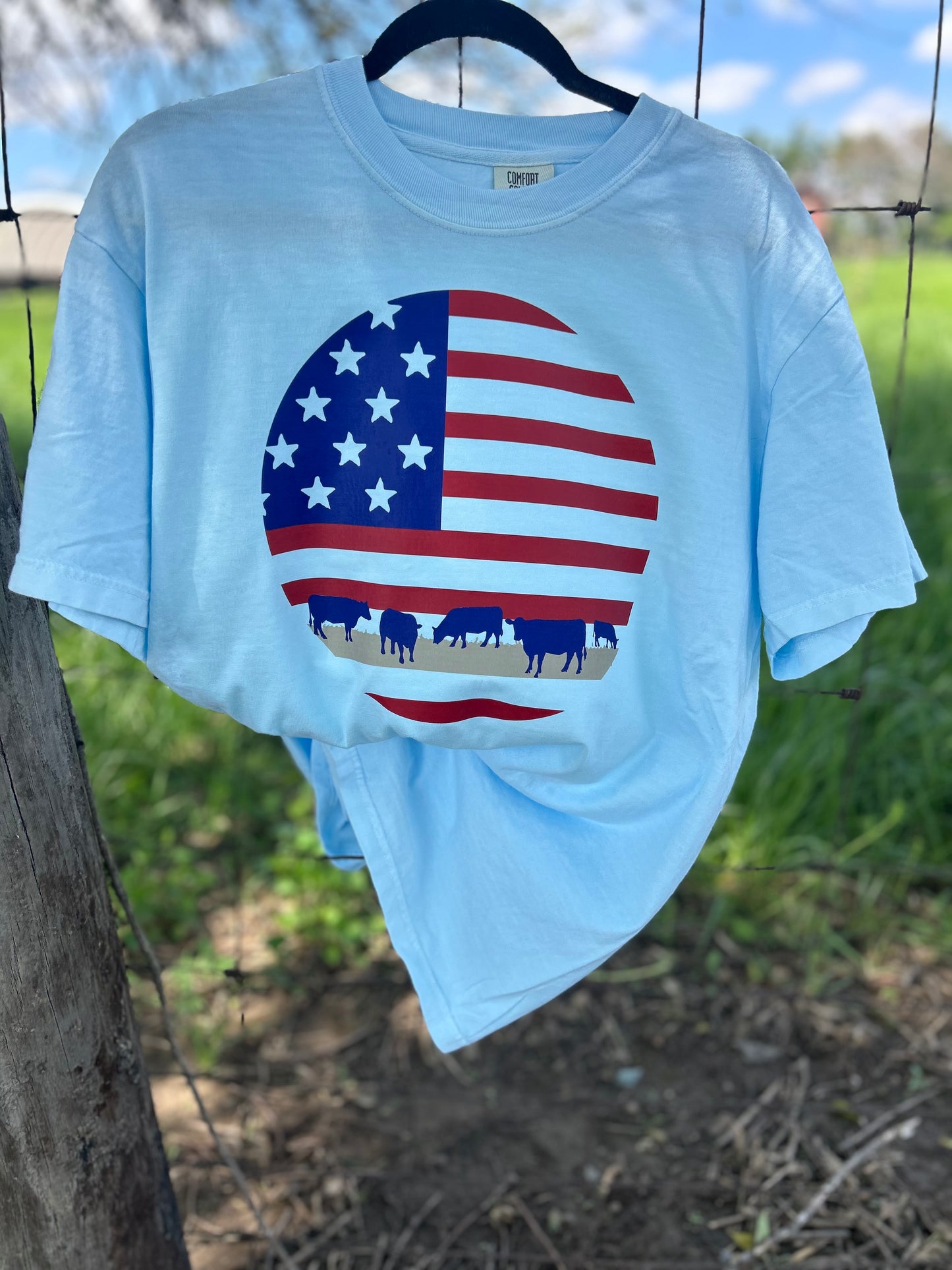 American Cattle
