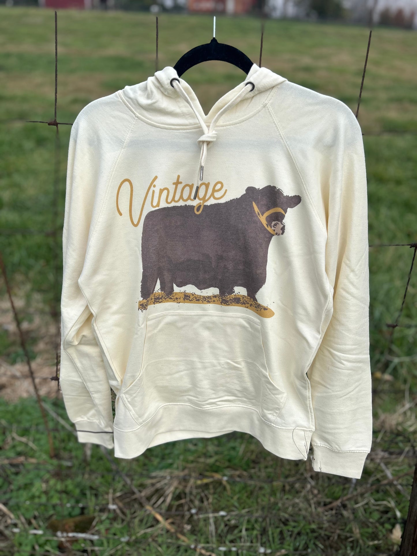 Vintage Angus