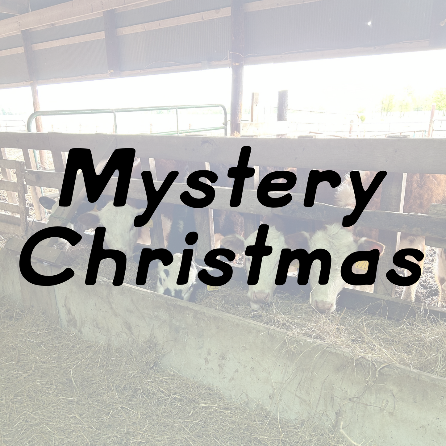 Mystery Christmas
