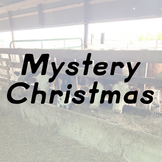 Mystery Christmas