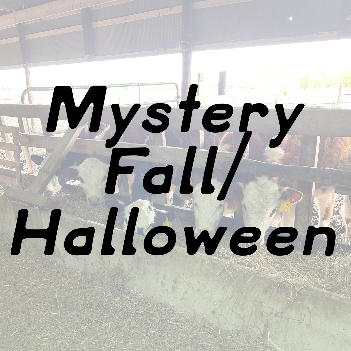 Mystery FALL/HALLOWEEN