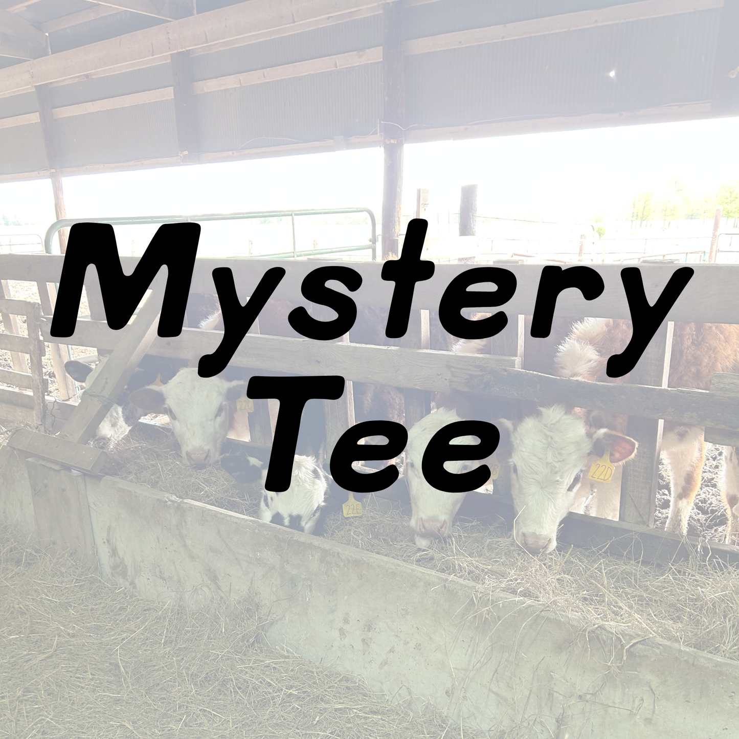 Mystery Christmas Tee