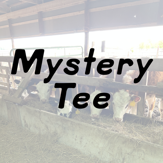 Mystery Tee/Sweatshirt